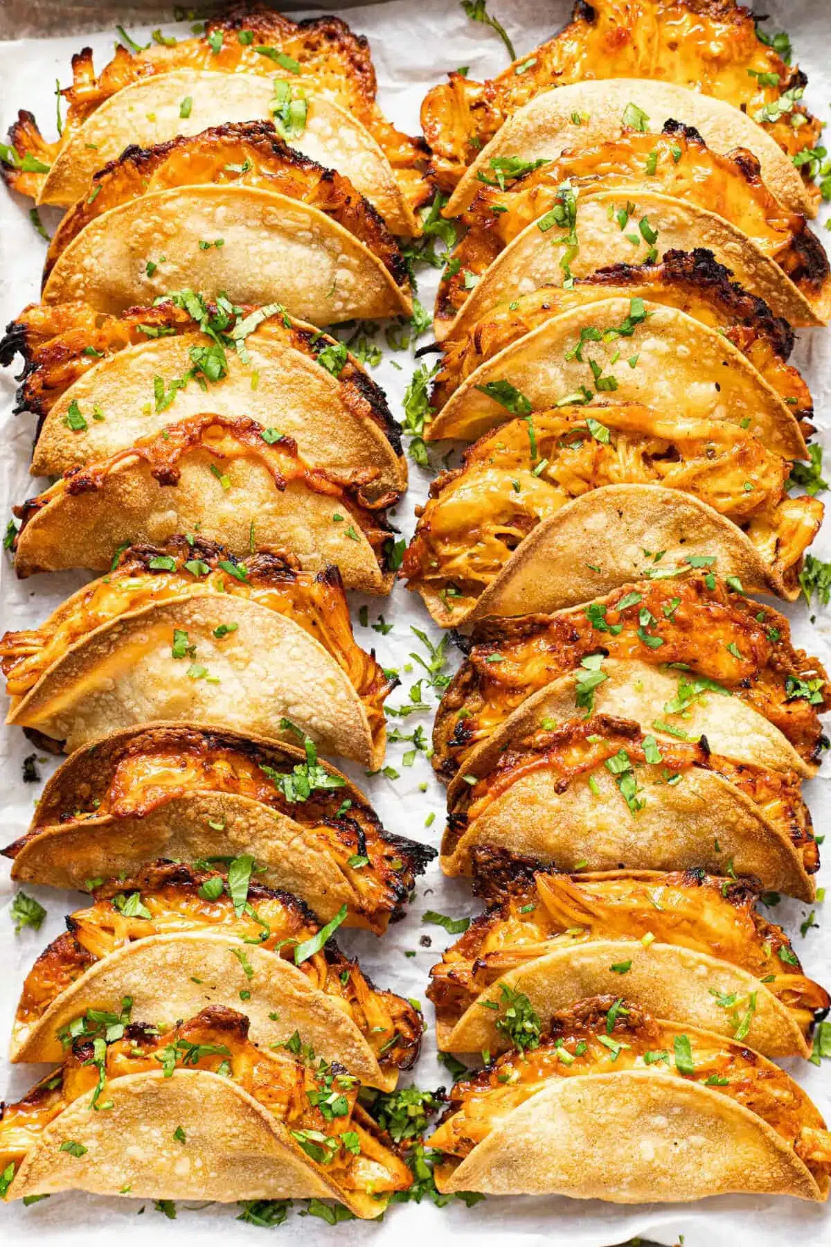 20-Minute Mini Tacos (Crispy Baked Chicken Tacos) 16 Rows of crispy Mini Tacos garnished with fresh cilantro leaves